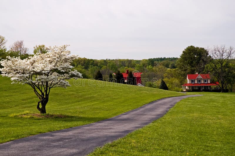 Farm at the end of the Lane