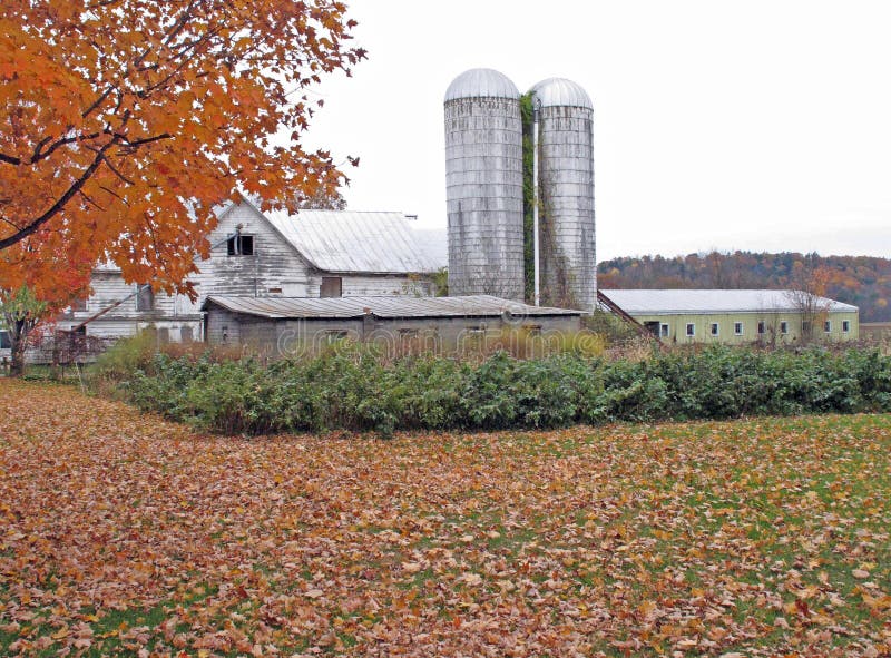 Autumn colors, silos and barn upstate rural New York. Autumn colors, silos and barn upstate rural New York