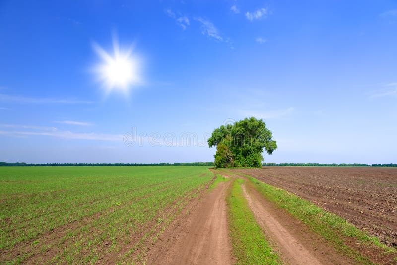 Farm field