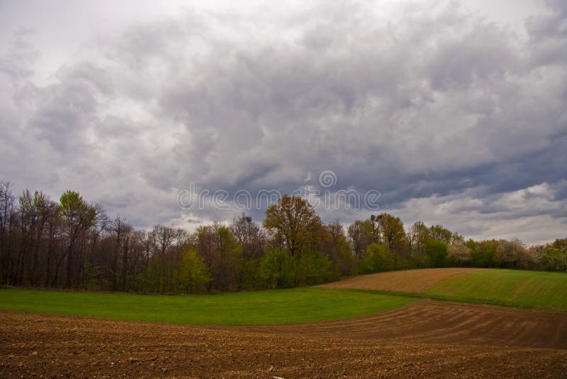 Farm field with forest