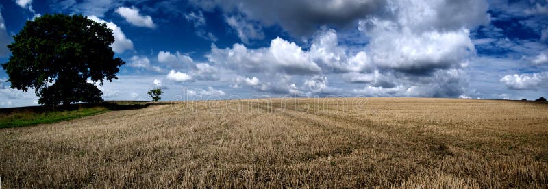 Farm Field Panoramic