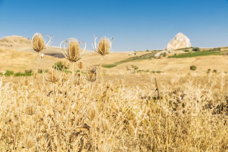 Farm fields near Corleone in Sicily, Italy