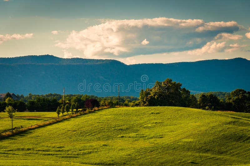 Farm Fields and View of Massanutten Mountain, in the Shenandoah Stock