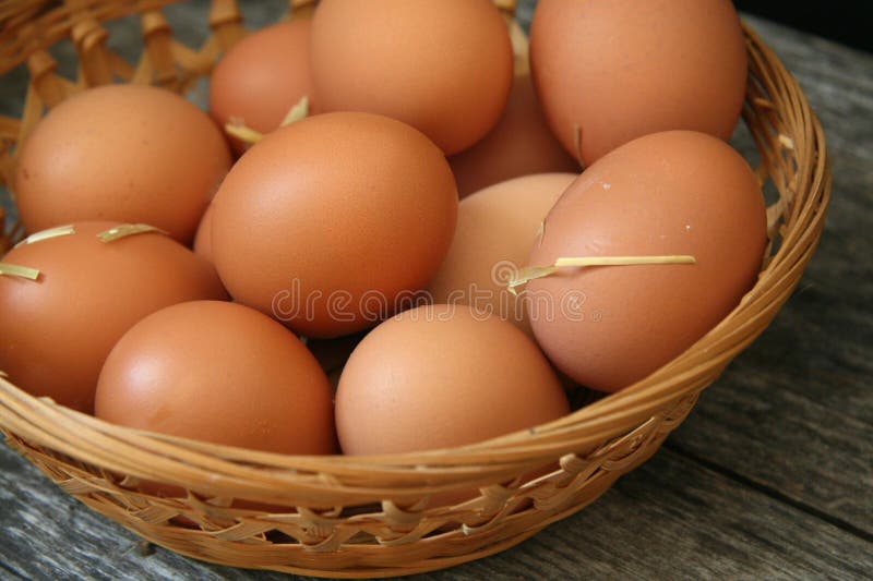 217 Gathering Farm Eggs Stock Photos - Free & Royalty-Free Stock