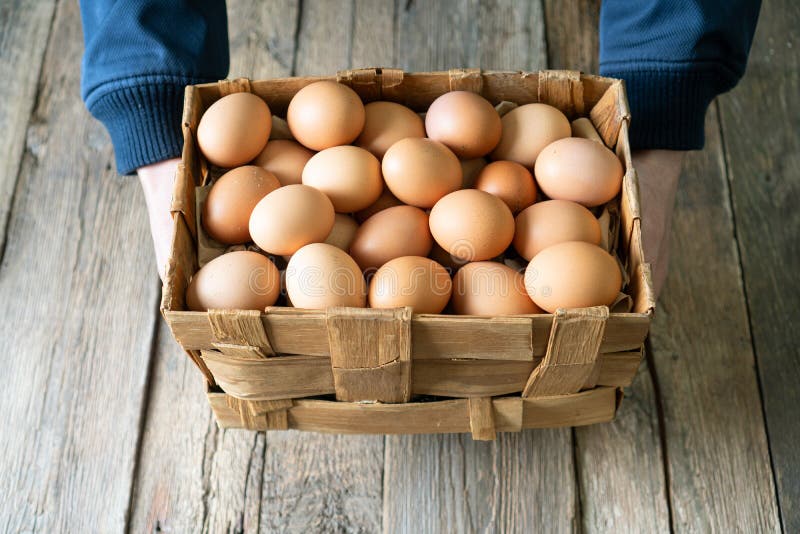 Farm Fresh Chicken Eggs in a Farmer Hands. Stock Photo Image of