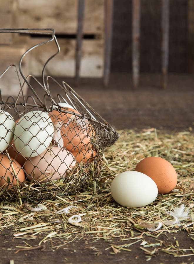 Farm fresh eggs stock image. Image of farm, range, organic 30910061