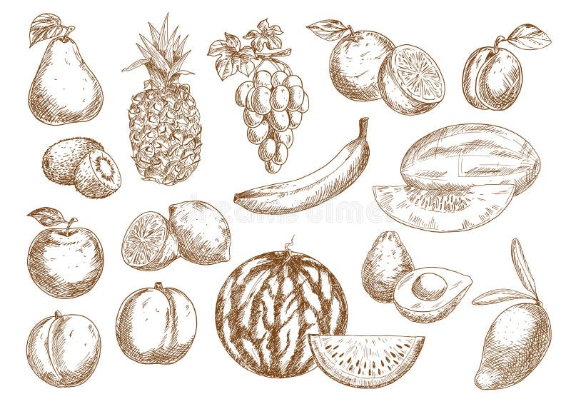 Farm fruits isolated sketches set