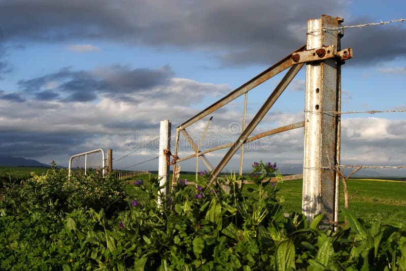 Farm gate stock image. Image of morning, divide, farm - 4614809