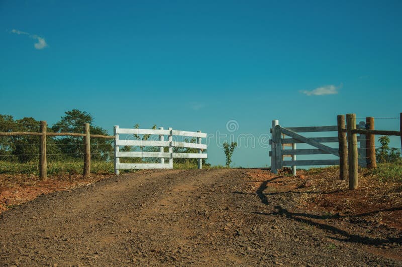 Farm gate with cattle guard and barbed wire fence