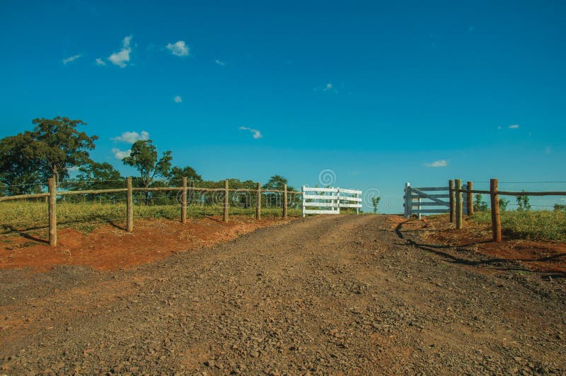 Farm gate with cattle guard and barbed wire fence