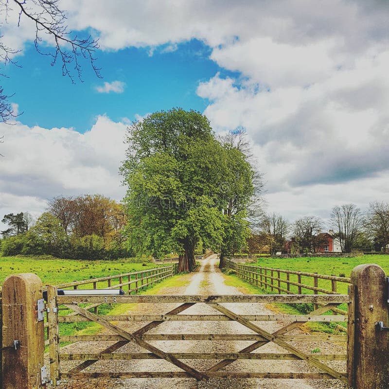 Farm Gate stock image. Image of grass, local, agriculture - 97323091