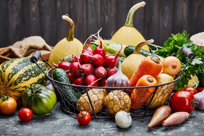 Farm harvest vegetables with spicy herb spice royalty free stock image Farm harvest vegetables with spicy herb spice royalty free stock image