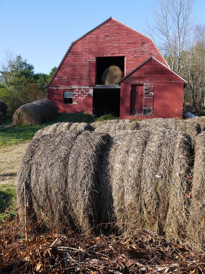Farm Hay Bales With Old Red Barn V Stock Photo Image 21997180