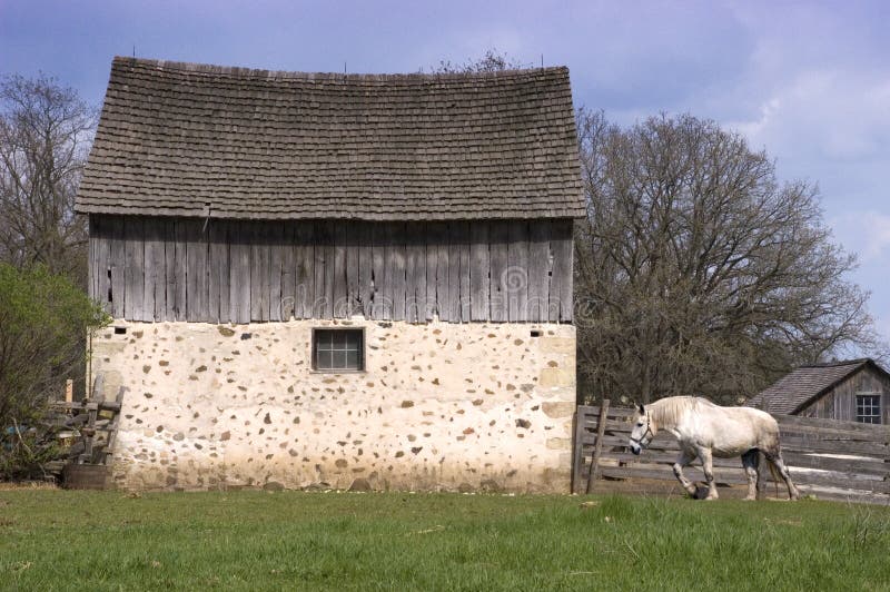 Farm Horse and Rustic Barn