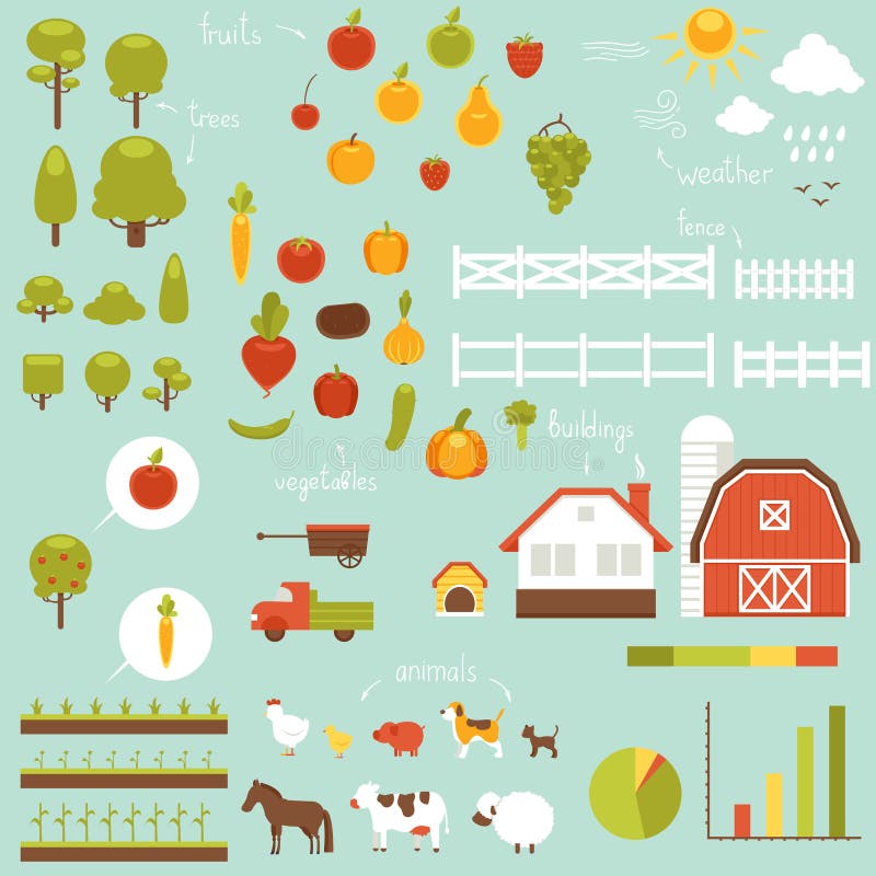 Farm Infographic vector illustration