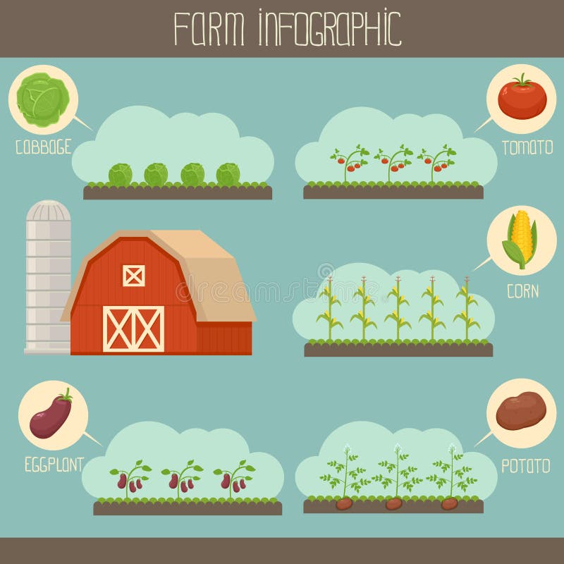 Farm infographic vector illustration