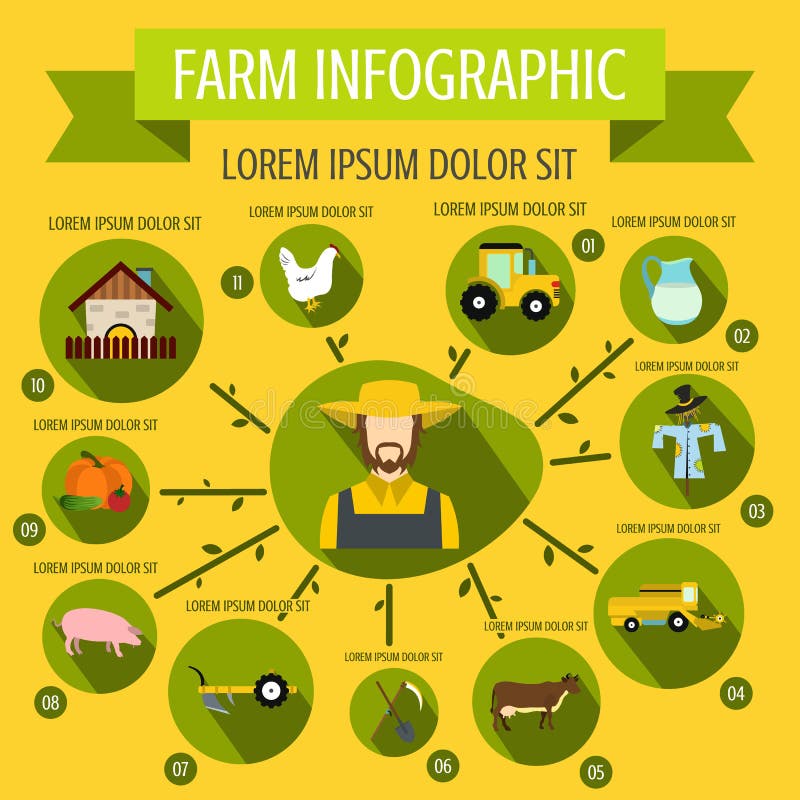 Farm infographic, flat style stock illustration