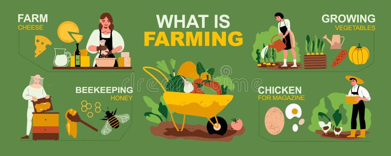 Farm Infographic Set royalty free illustration