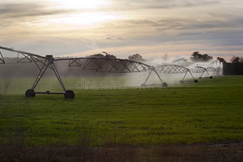 Farm Irrigation System Florida Stock Image Image of farming, spray