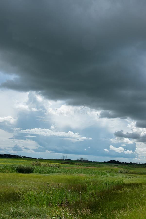 Farm Land North of Churchbridge, Eastern Saskatchewan, Canada. Stock