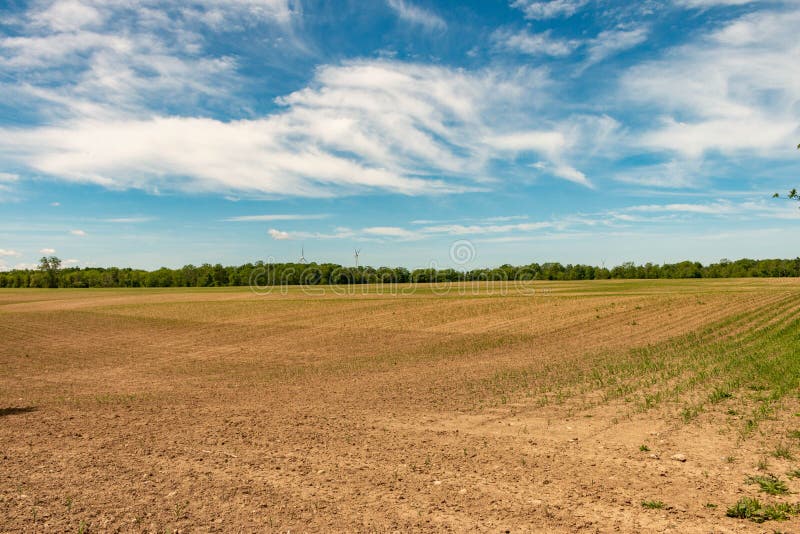 Farm Land, Ontario, Canada. View of Freshly Planted Fields.. Stock