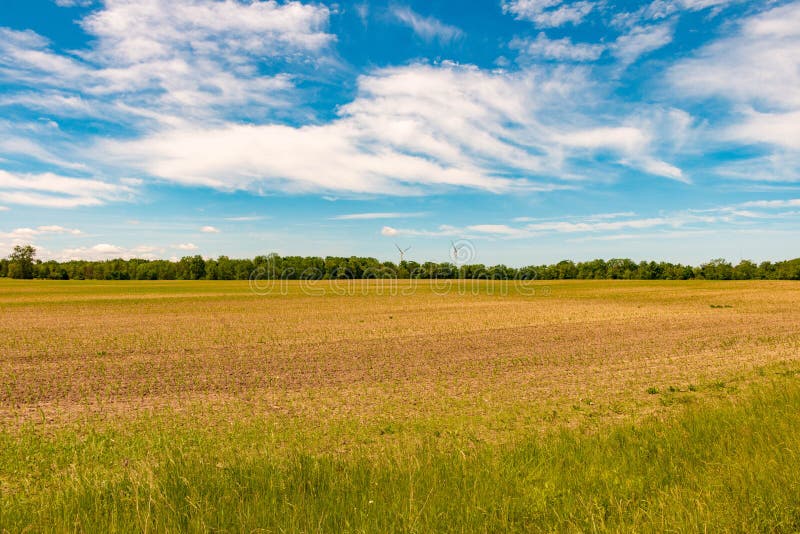 Farm Land, Ontario, Canada. View of Freshly Planted Fields.. Stock
