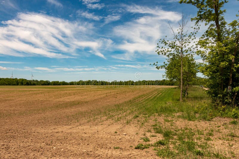 Farm Land, Ontario, Canada. View of Freshly Planted Fields.. Stock