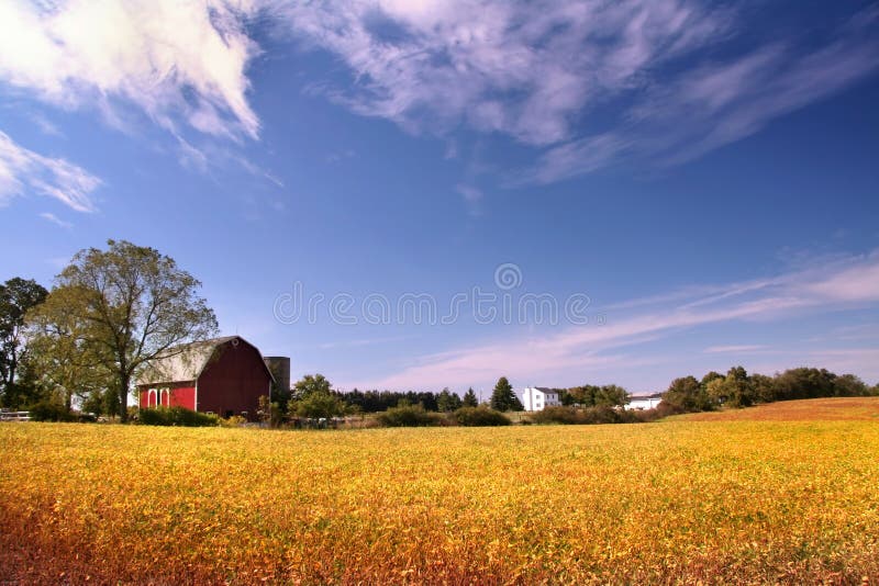 Farm Landscape