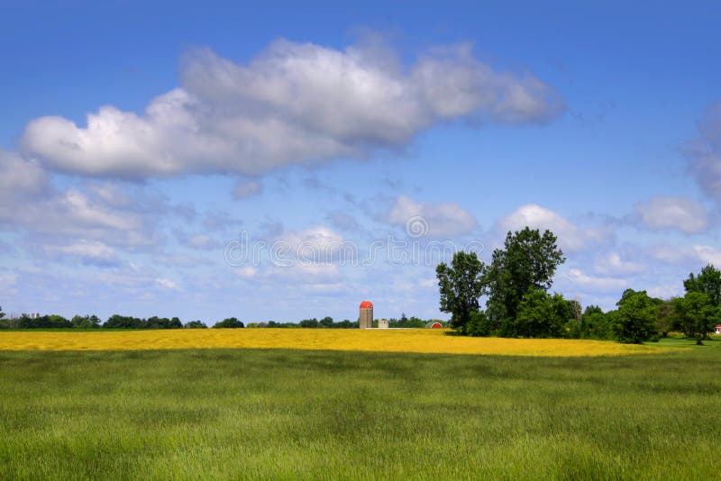 Farm landscape