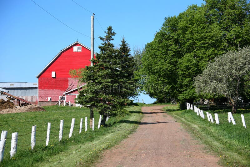 Farm Lane stock photo. Image of summer, barn, road, green 9673674