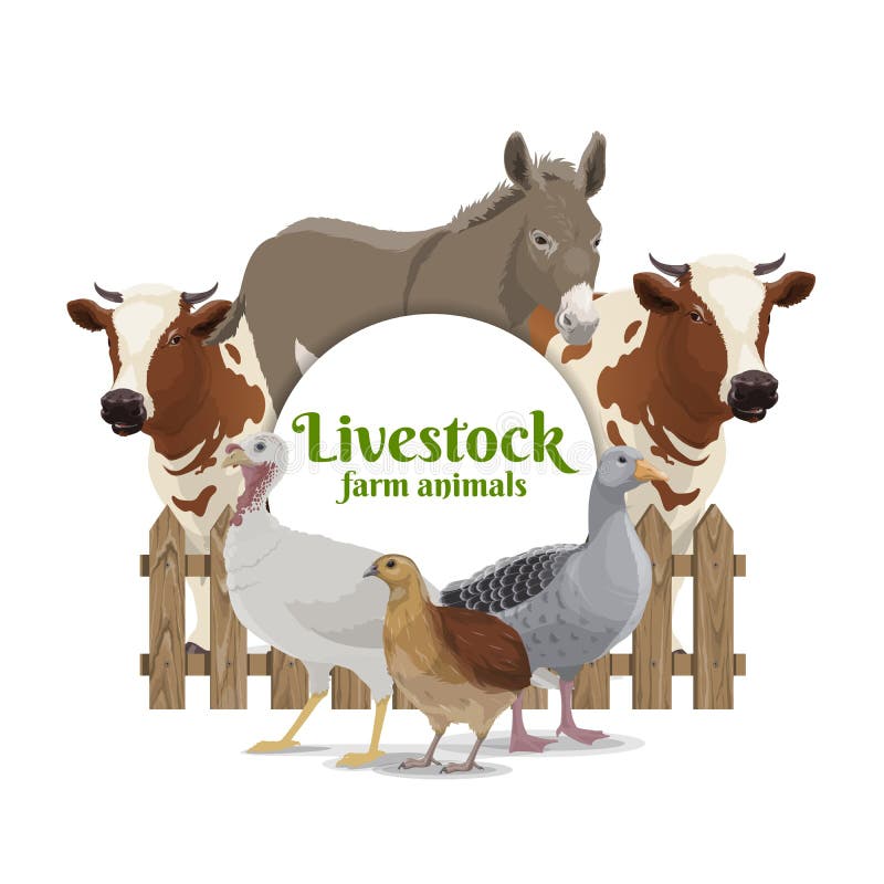 Farm Livestock and Poultry Vector Round Banner Stock Vector - Illustration  of frame, character: 202129954