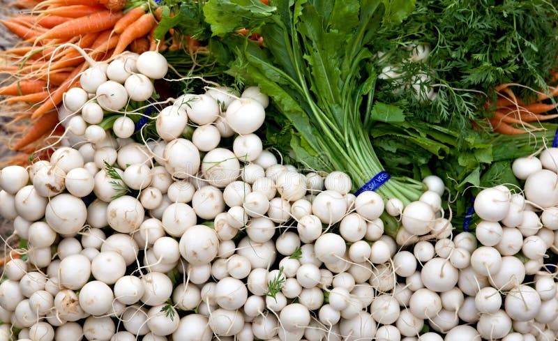 Farm market vegetable stock images Farm market vegetable stock images