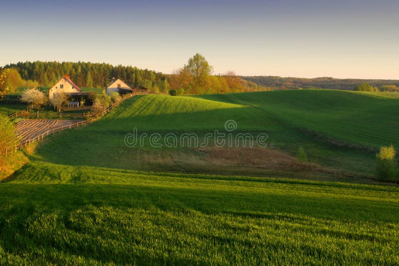 Farm in the morning sun