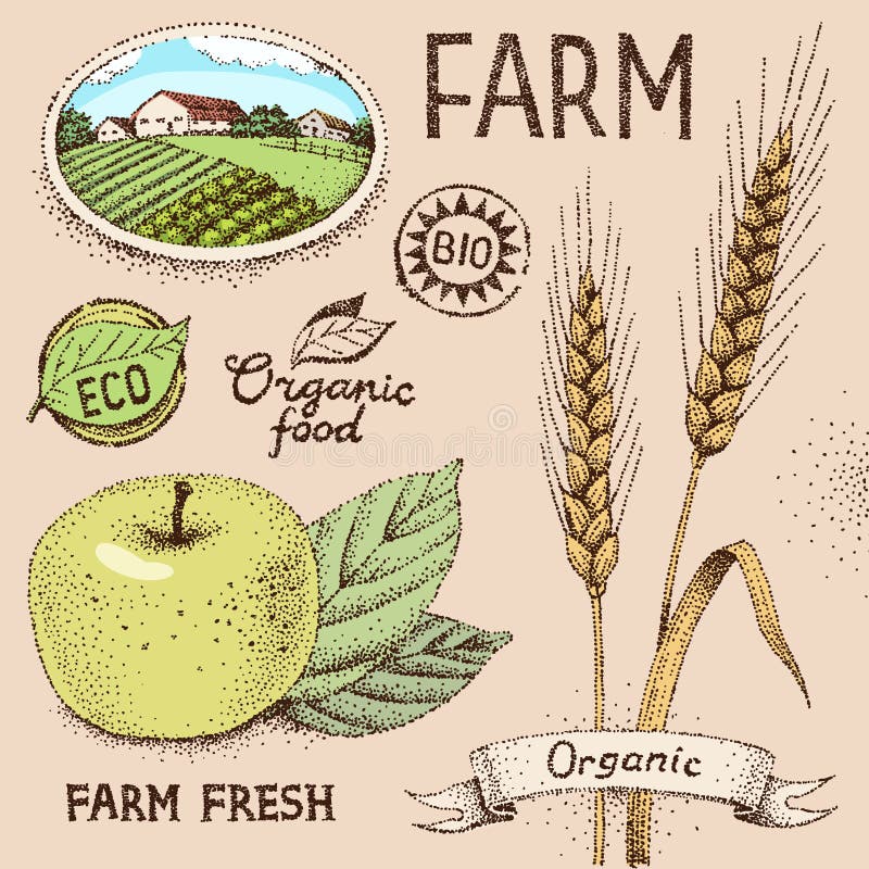 Farm objects royalty free illustration