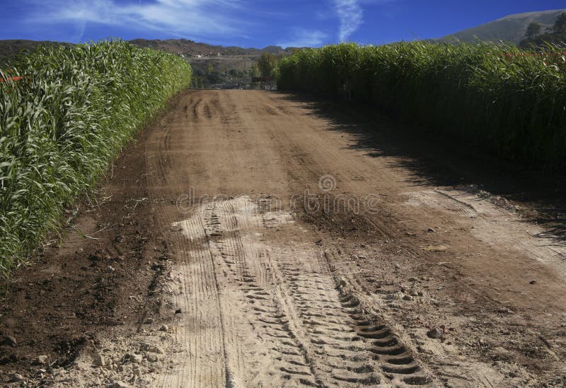 Farm road royalty free stock photo Farm road royalty free stock photo