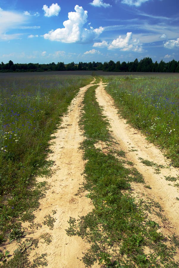 Farm Road Picture. Image 4692936