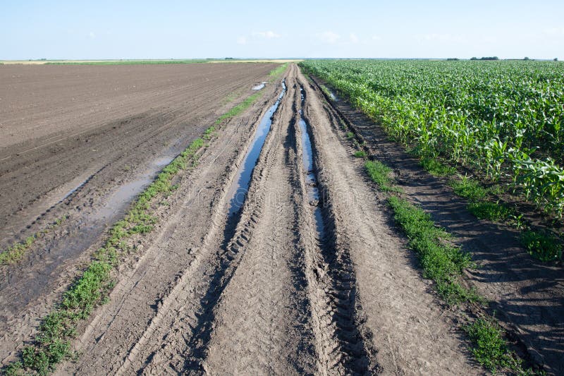 Farm road stock photo. Image of rain, field, rural, daytime 32106092