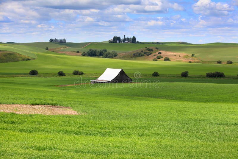 Farm scene in Washington state