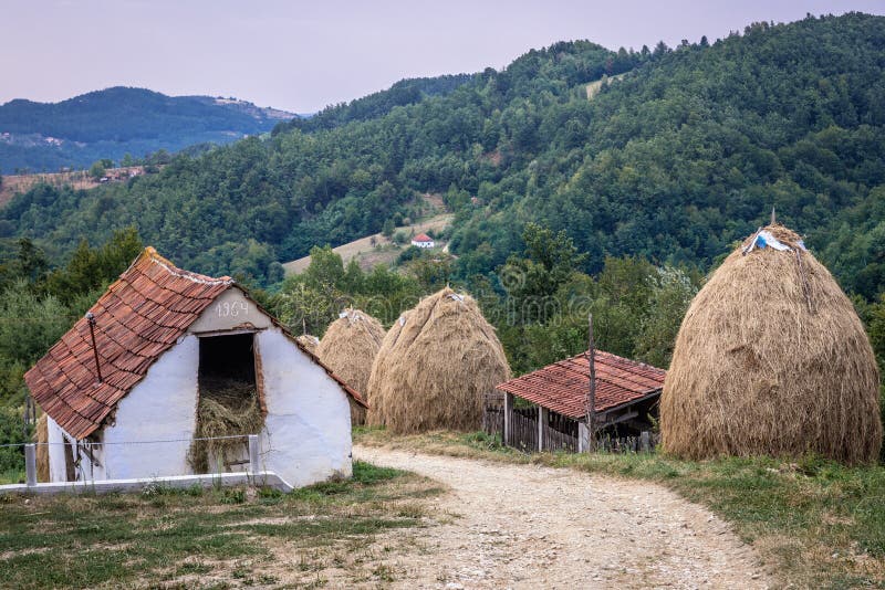Farm in Serbia stock photo. Image of serbia, countryside - 142085764