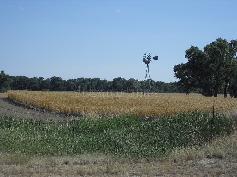 Farm on a Sunny Day stock photo. Image of montana, trees 69537766