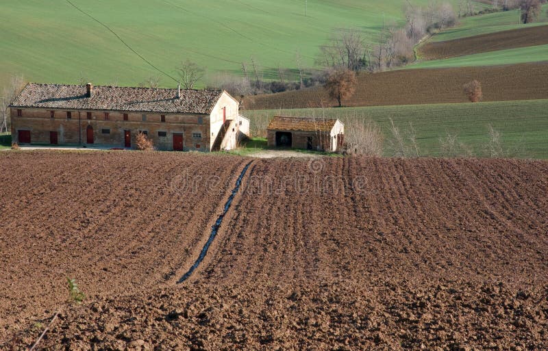 farm in val of Recanati, Italy