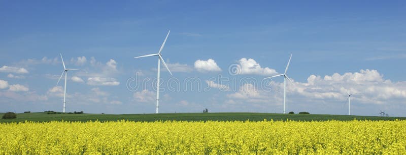 Farm of windturbines close to field