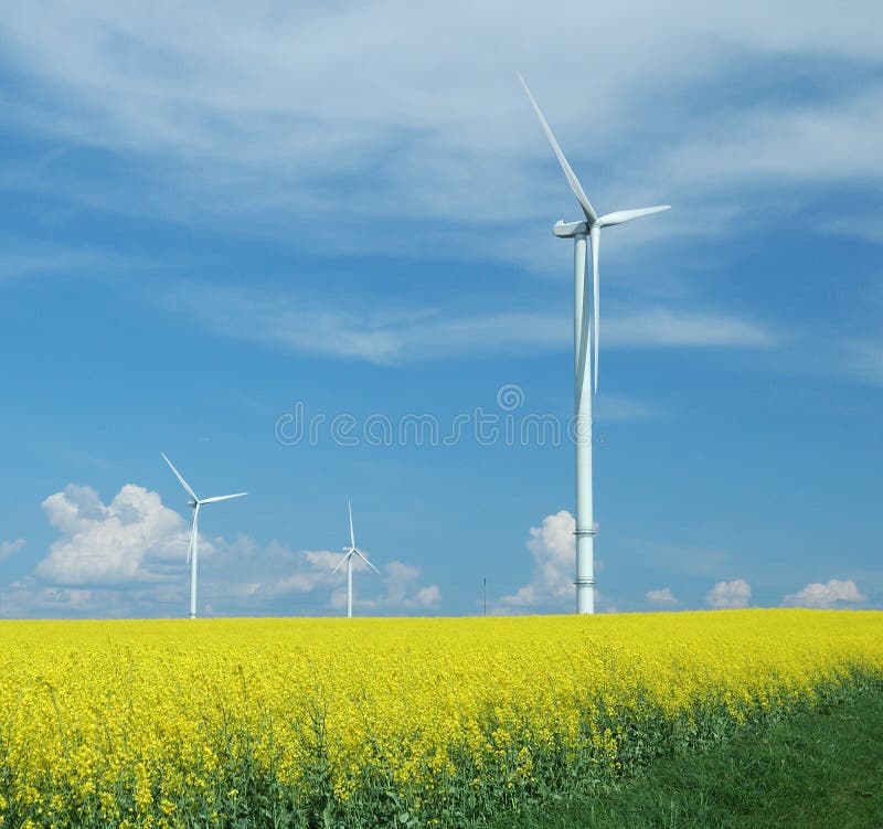 Farm of windturbines close to field