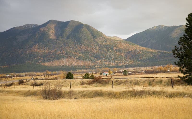 Farm Yellow Aspens Hills Fall Colors Montana