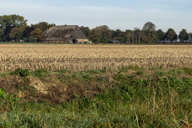 Farmbuilding dans un domaine moissonné dans Rhoon photos stock Farmbuilding dans un domaine moissonné dans Rhoon photos stock