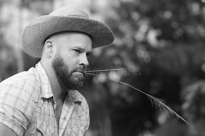 Farmer stock image. Image of white, straw, mature, handsome - 18867791