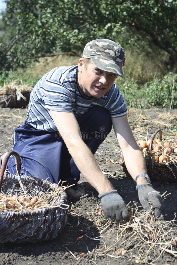 Farmer