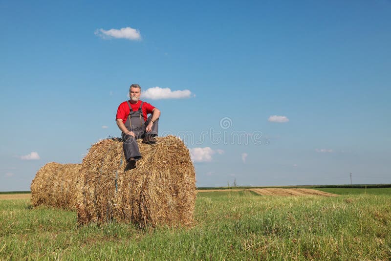 Farmer and Bale of Hay in Field Stock Image Image of meadow, nature