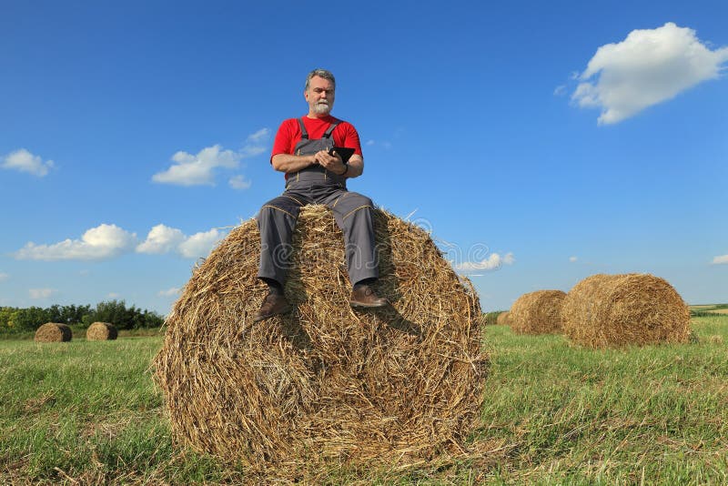 Farmer and Bale of Hay in Field Stock Image Image of country, grow