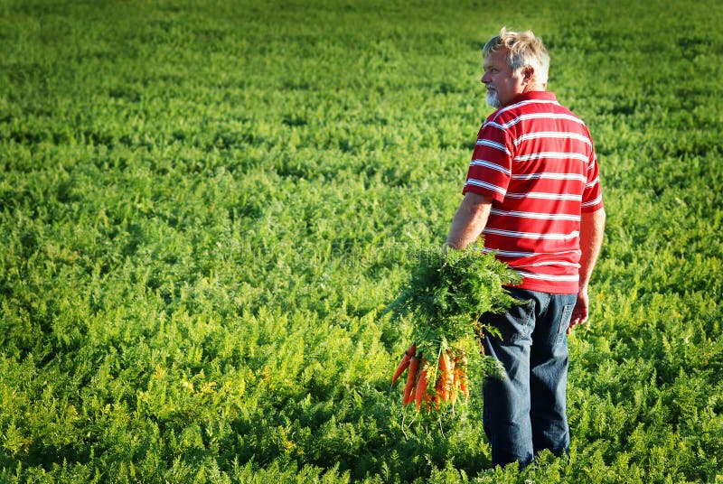 Farmer with carrots